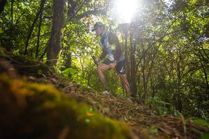 BIB: 307, 4432
                            <button type="button" onclick="openModal(16008005)" class="btn btn-primary btn-sm float-right btn-popup" data-toggle="modal" data-target=".modal-high-quality">
                        <i class="fas fa-shopping-cart"></i> Add to Cart
                    </button>
                                            <button type="button" onclick="isThisMe(16008005, true)" class="btn btn-success btn-sm float-right btn-popup btn-isme hidden" data-toggle="tooltip" data-placement="bottom" title="นี่คือรูปของคุณใช่ไหม คลิกที่นี่เพื่อเอาเข้าอัลบั้ม">
                        <i class="fas fa-plus"></i> Add to album
                    </button>
                    <button type="button" onclick="isThisMe(16008005, false)" class="btn btn-warning btn-sm float-right btn-popup btn-isnotme hidden">
                        <i class="fas fa-ban"></i> Remove from album
                    </button>